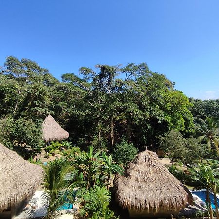 Colibri Parque Tayrona Dentro Del Parque Nacional Tayrona Panzió Zaino Kültér fotó