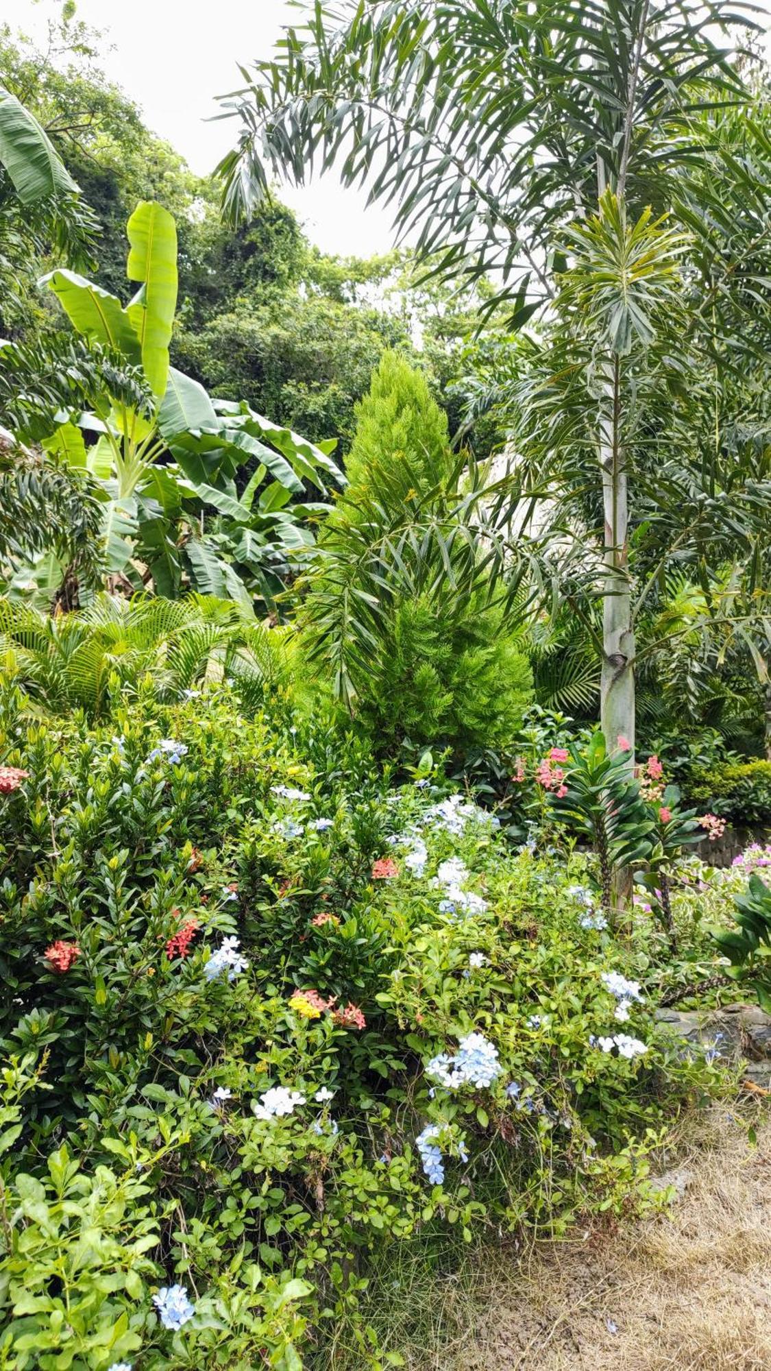 Colibri Parque Tayrona Dentro Del Parque Nacional Tayrona Panzió Zaino Kültér fotó