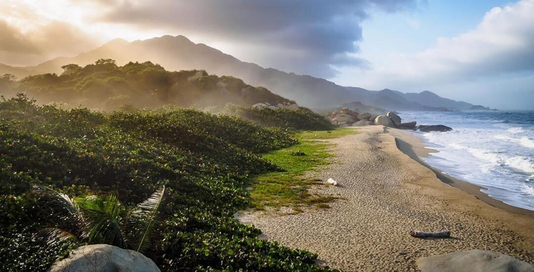 Colibri Parque Tayrona Dentro Del Parque Nacional Tayrona Panzió Zaino Kültér fotó