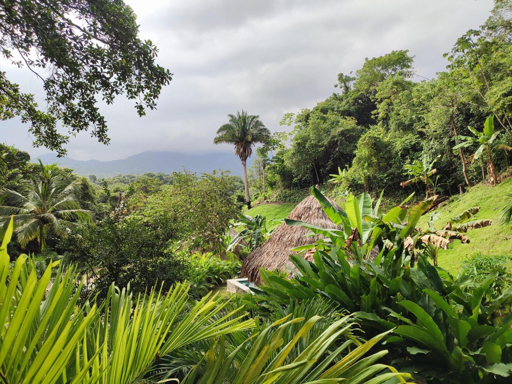 Colibri Parque Tayrona Dentro Del Parque Nacional Tayrona Panzió Zaino Kültér fotó