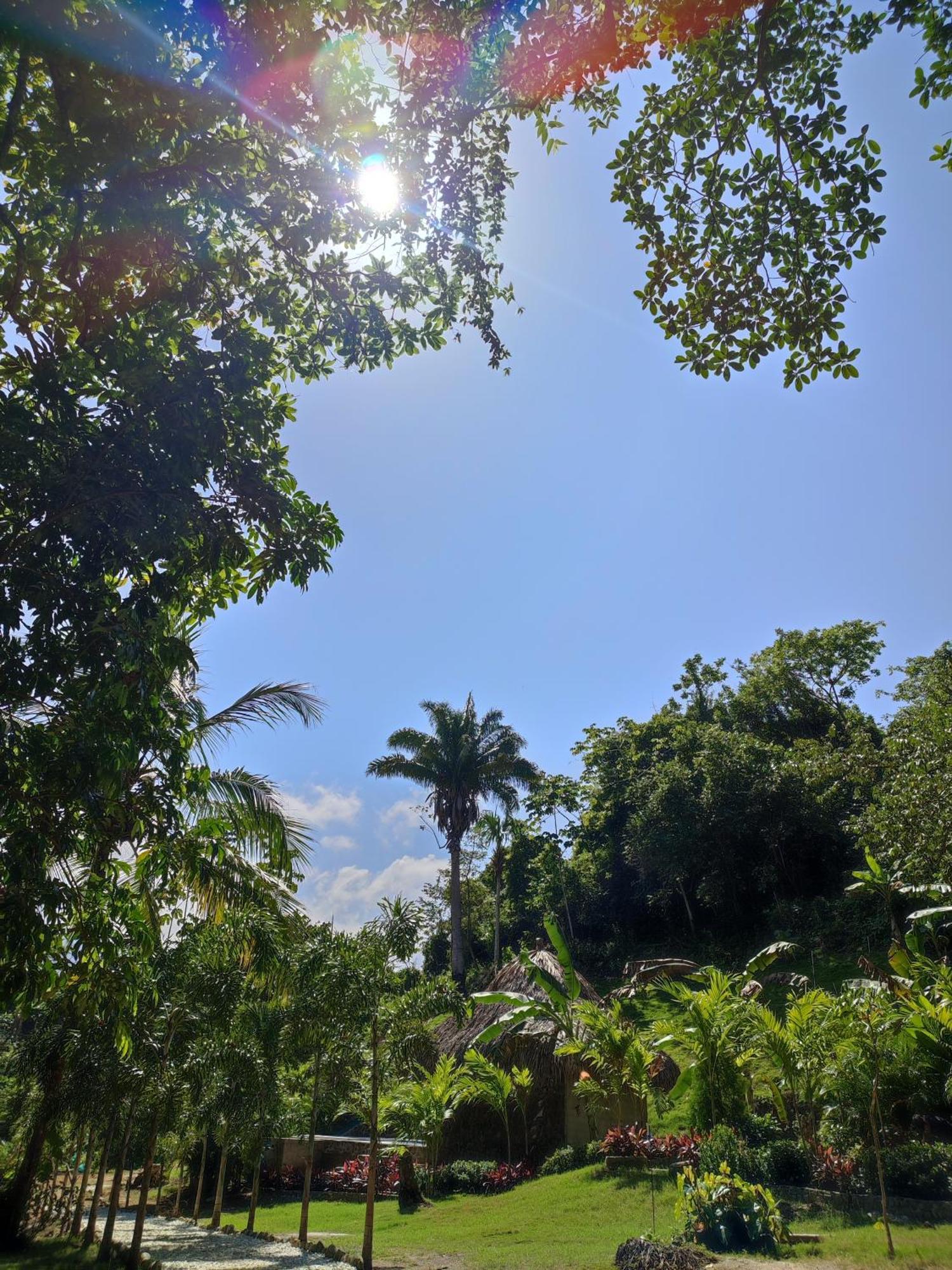 Colibri Parque Tayrona Dentro Del Parque Nacional Tayrona Panzió Zaino Kültér fotó