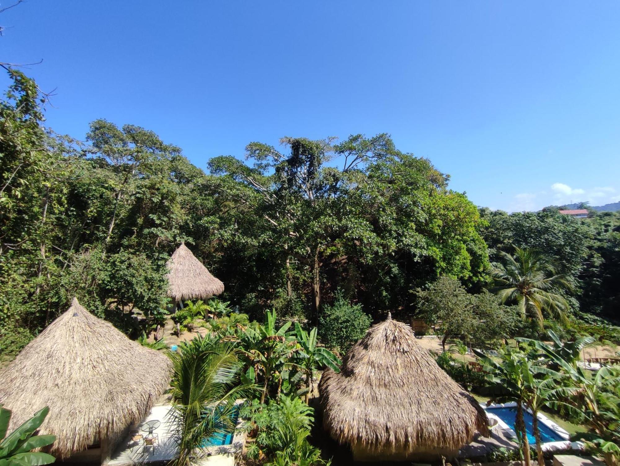 Colibri Parque Tayrona Dentro Del Parque Nacional Tayrona Panzió Zaino Kültér fotó